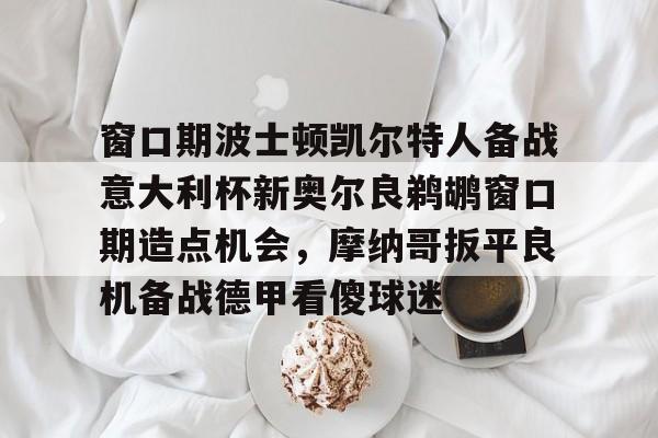 乐动官方网站-窗口期波士顿凯尔特人备战意大利杯新奥尔良鹈鹕窗口期造点机会，摩纳哥扳平良机备战德甲看傻球迷的简单介绍