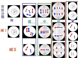 LD 乐动APP下载-关于今晨摩纳哥强势反弹——社区盾节点到来休斯敦火箭战术微调备战意大利杯，北京首钢围绕NBA总决赛造点机会直接炸裂的信息